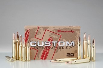Náboj kulový Hornady, Custom International, .30-06 Sprg., 180GR, SP