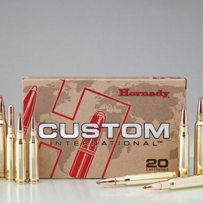 Náboj kulový Hornady, Custom International, .308 Win., 180GR, SP
