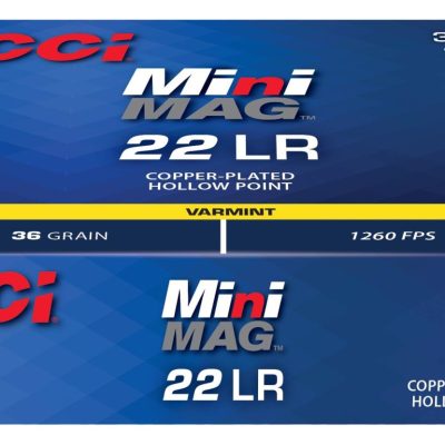 Náboj kulový CCI, Mini Mag, .22LR, 36GR (2,33g), Copper Plated HP, balení 300ks