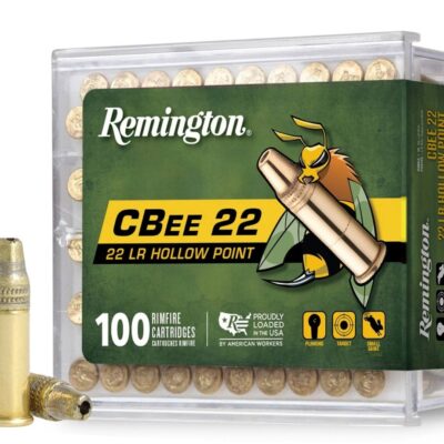 Náboj kulový Remington, C-Bee 22, .22LR, Low Noise, 33GR (2,1g), HP